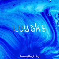 Luwaks — Into The Blue — обложка
